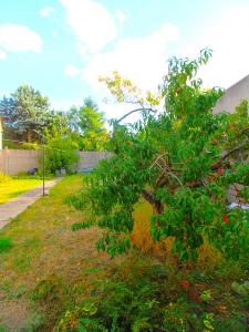 For sale Montgeron 4 rooms 73 m2 Essonne (91230) photo 2