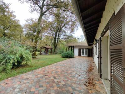 For sale Saint-paul-les-dax 8 rooms 258 m2 Landes (40990) photo 3