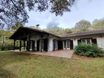 For sale Saint-paul-les-dax 8 rooms 258 m2 Landes (40990) photo 4