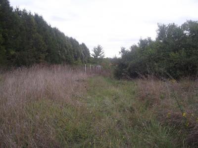 For sale Chavanges 21000 m2 Aube (10330) photo 0