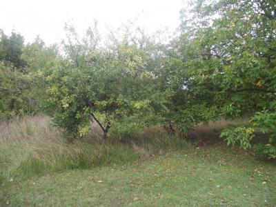 For sale Chavanges 21000 m2 Aube (10330) photo 1