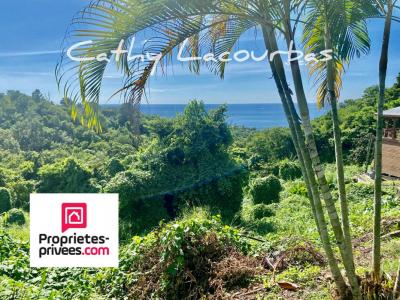 For sale Bouillante 7709 m2 Guadeloupe (97125) photo 1