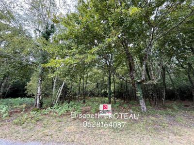 For sale Sanguinet 2949 m2 Landes (40460) photo 0