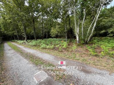 For sale Sanguinet 2949 m2 Landes (40460) photo 1