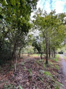 For sale Sanguinet 2949 m2 Landes (40460) photo 2