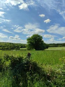 For sale Rouy 1000 m2 Nievre (58110) photo 0