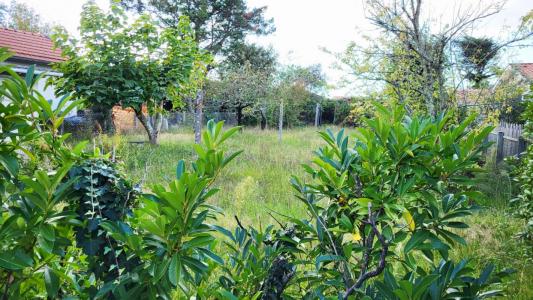 Acheter Maison 80 m2 Gujan-mestras