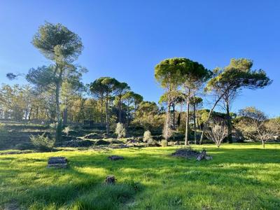 For sale Fayence 5 rooms 185 m2 Var (83440) photo 3