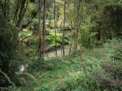 For sale Chateau-porcien 3696 m2 Ardennes (08360) photo 0