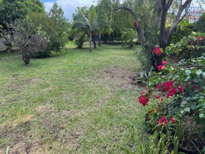 For sale Ravine-des-cabris Reunion (97432) photo 2