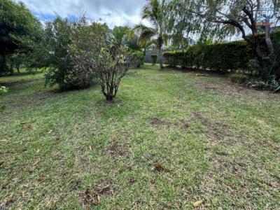 For sale Ravine-des-cabris Reunion (97432) photo 3