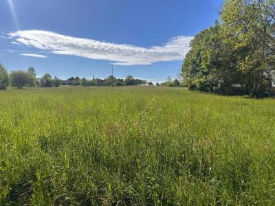 Annonce Vente Terrain Faux 24