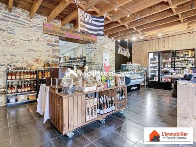 Annonce Vente Commerce Guer 56