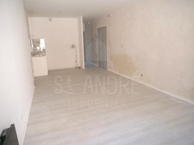 For sale Arzay LA-CATE-SAINT-ANDRA 2 rooms 44 m2 Isere (38260) photo 3