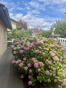 For sale Tignieu-jameyzieu 4 rooms 110 m2 Isere (38230) photo 3