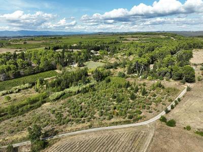Annonce Vente 15 pices Maison Saint-pons-de-mauchiens 34