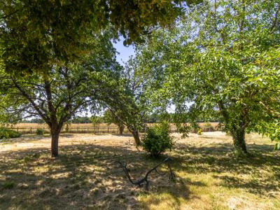 For sale Saint-christophe-en-bazelle 5 rooms 148 m2 Indre (36210) photo 1