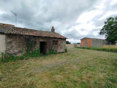 Annonce Vente 2 pices Maison Champtoceaux 49