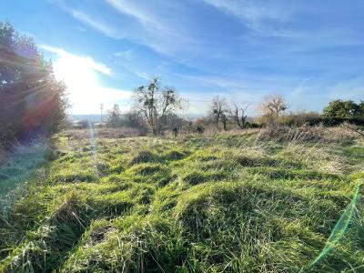 For sale Saone et loire (71850) photo 0