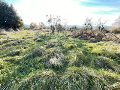 For sale Saone et loire (71850) photo 3