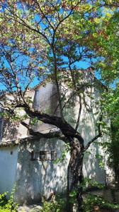 Acheter Terrain  490000 euros