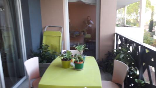 For sale 2 rooms 39 m2 Herault (34000) photo 4