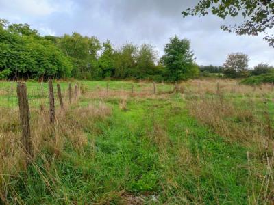 For sale Beligneux 500 m2 Ain (01360) photo 0
