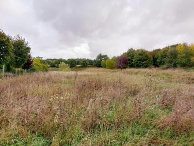 Annonce Vente Terrain Beligneux 01