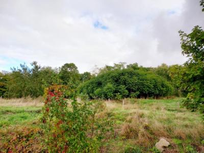 Acheter Terrain 500 m2 Beligneux