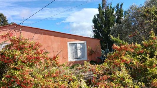 For sale Nissan-lez-enserune 8 rooms 222 m2 Herault (34440) photo 3