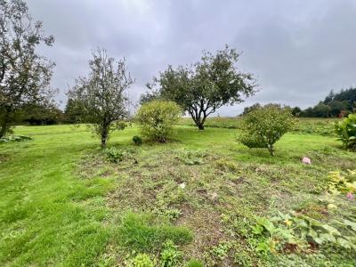 Acheter Maison Quimperle Finistere