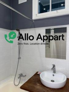 Louer Appartement Lyon-3eme-arrondissement 705 euros