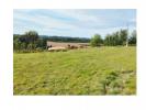 For sale Land Dieulivol 3189 m2