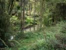 Vente Terrain Chateau-porcien  3696 m2