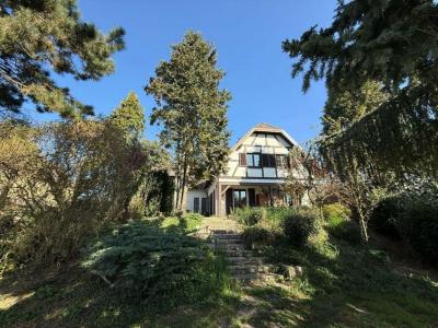 For sale Handschuheim 8 rooms 280 m2 Bas rhin (67117) photo 0