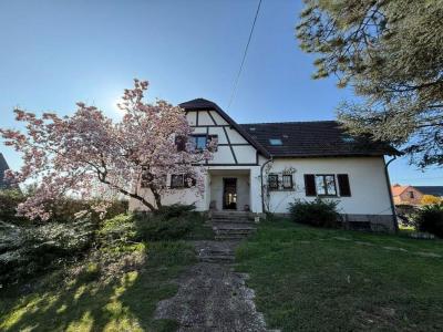 Acheter Maison 280 m2 Handschuheim