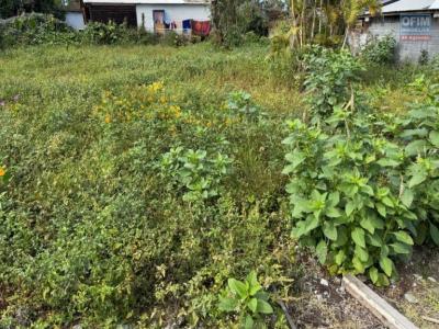 Annonce Vente Terrain Tampon 974