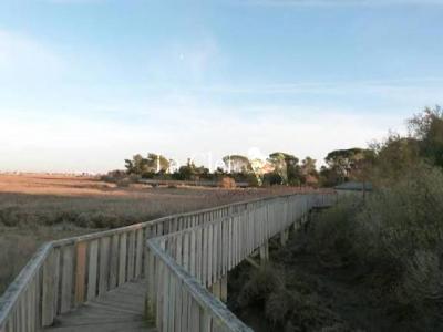 For sale Gujan-mestras 10 rooms 370 m2 Gironde (33470) photo 2