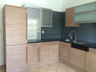 For rent Leaz 6 rooms 140 m2 Ain (01200) photo 0
