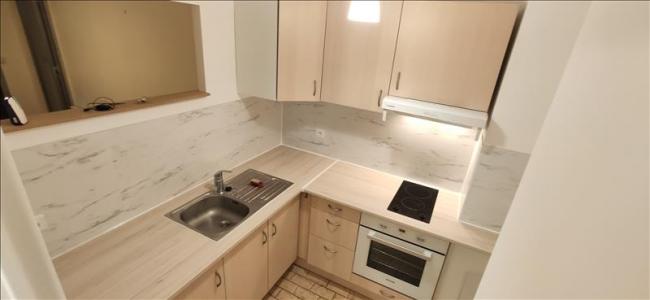 For rent Nogent-sur-marne 2 rooms 44 m2 Val de Marne (94130) photo 1
