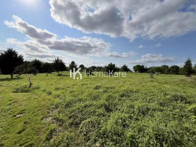 For sale Boulogne-sur-gesse 10 rooms 255 m2 Haute garonne (31350) photo 3