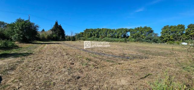 For sale Elne 19599 m2 Pyrenees orientales (66200) photo 1