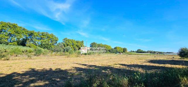 For sale Elne 19599 m2 Pyrenees orientales (66200) photo 3