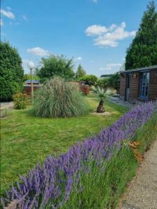 For sale Tilloloy 13 rooms 301 m2 Somme (80700) photo 0