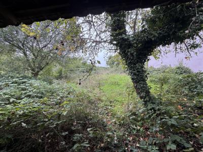 For sale Ingersheim 200 m2 Haut rhin (68040) photo 1