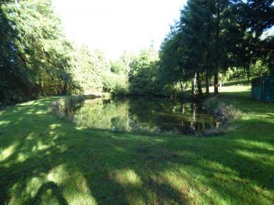 For sale Saint-martin-de-connee Mayenne (53160) photo 1