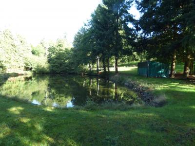 For sale Saint-martin-de-connee Mayenne (53160) photo 2