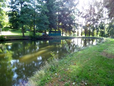 For sale Saint-martin-de-connee Mayenne (53160) photo 3