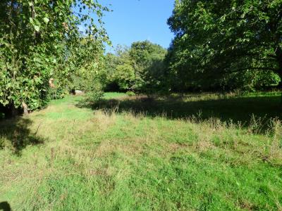 For sale Saint-martin-de-connee Mayenne (53160) photo 4