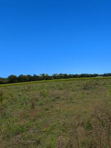 For sale Savigneux Ain (01480) photo 0